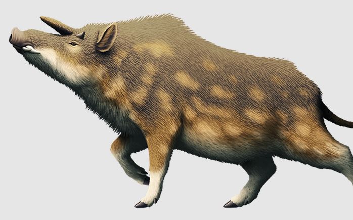 Kubanochoerus gigas: Loài lợn cổ xưa có sừng giống như kỳ lân trong thần thoại