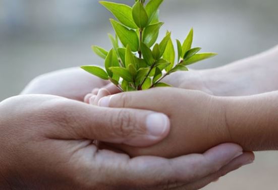 Muốn biết lòng người rộng hay hẹp, hãy nhìn 3 vào điểm này sẽ tỏ tường