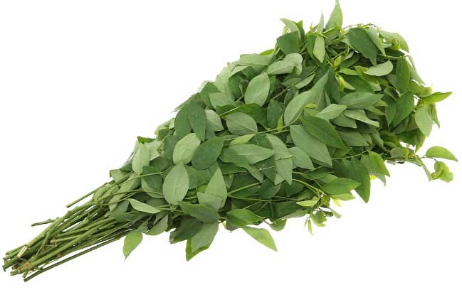 Ăn rau ngót chớ làm điều này kẻo mang bệnh lúc nào không hay, nguy hiểm hơn thuốc độc