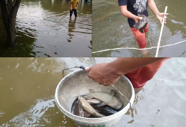 Clip: Dùng điện lưới chích được hàng chục cá trê “khủng” trên đường phố