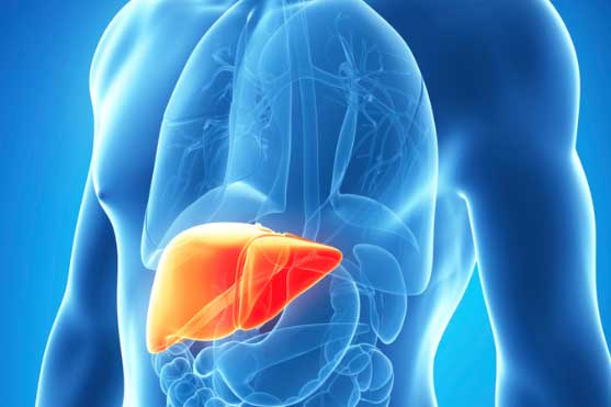 Gan là “nhà máy xử lý độc tố” của cơ thể: Thực hiện 5 bí quyết để cả đời gan khỏe mạnh