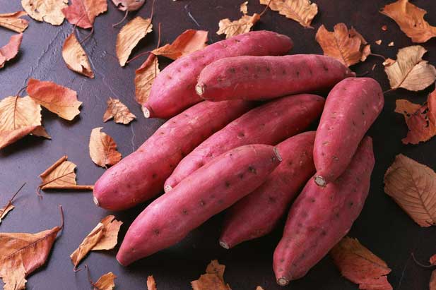 Ăn 1 củ khoai lang vào bữa sáng, bạn sẽ bất ngờ khi thấy cơ thể thay đổi kì diệu sau 1 tuần