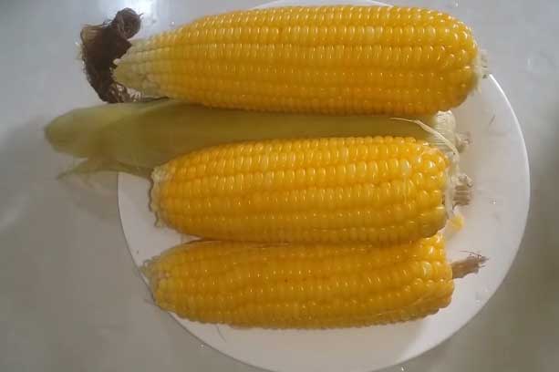 Buổi sáng "nạp" những thực phẩm này: Vừa có lợi cho sức khoẻ lại giúp ngăn ngừa ung thư