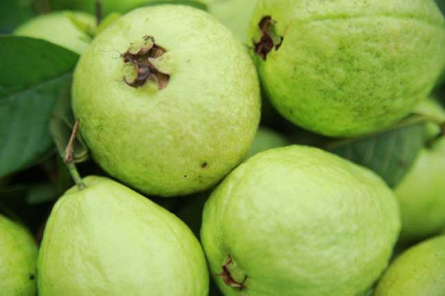 8 lợi ích tuyệt vời của ổi khiến bạn tròn mắt bất ngờ, số 1 khiến ai cũng muốn ăn ngay lập tức