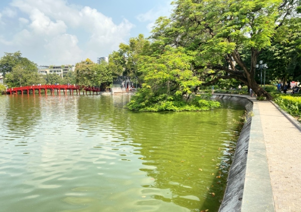 Busadco: Tiên phong ứng phó biến đổi khí hậu, bảo vệ môi trường