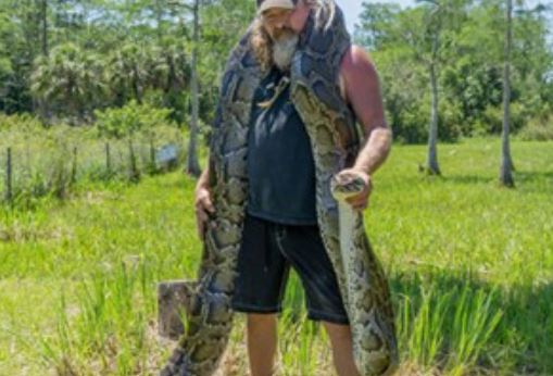 Clip: “Lạnh gáy” trước cảnh dùng tay không bắt trăn khổng lồ