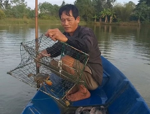 Giá cua Cà Mau vẫn giữ mức cao sau Tết