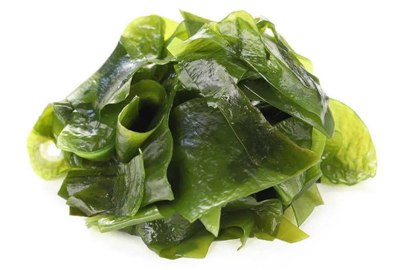 Những công dụng của rong biển với làn da và mái tóc