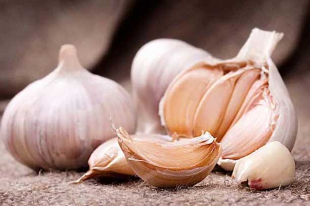 Giới y khoa chỉ ra đây chính là "tiên dược" ngừa ung thư, tốt cho tim mạch và giúp thọ lâu sống khỏe