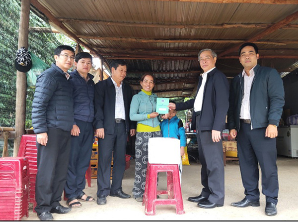 Đà Nẵng: Điều chỉnh lãi suất chậm đóng, trốn đóng, truy thu bảo hiểm xã hội, y tế, thất nghiệp