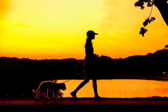 6 thói quen giúp não ngày càng trẻ, 100% dân văn phòng nên áp dụng càng sớm càng tốt