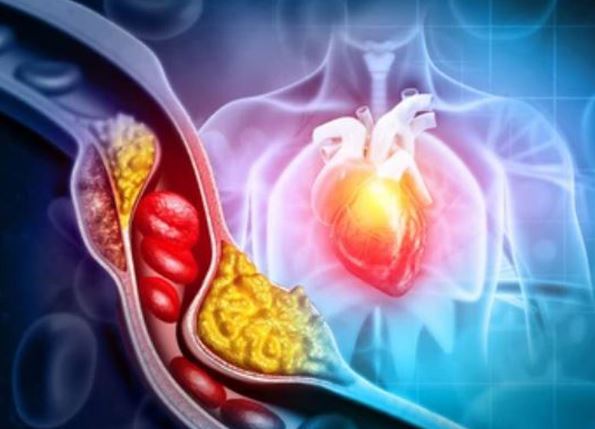 Tại sao ăn đậu nành có thể giúp làm giảm cholesterol xấu?