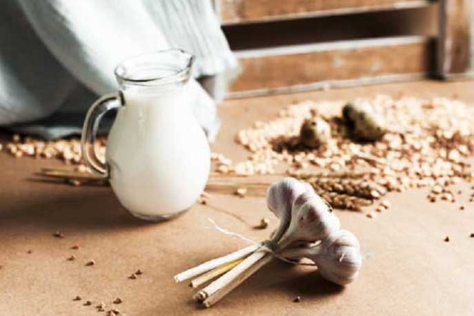 Bài thuốc từ sữa tươi và tỏi giúp người đau thần kinh tọa lấy lại sức khỏe không tốn 1 viên thuốc