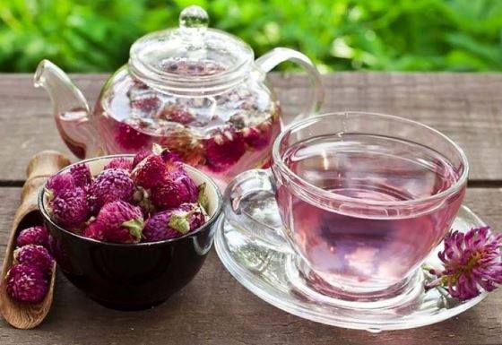 Top 5 loại thảo mộc hỗ trợ điều trị loãng xương