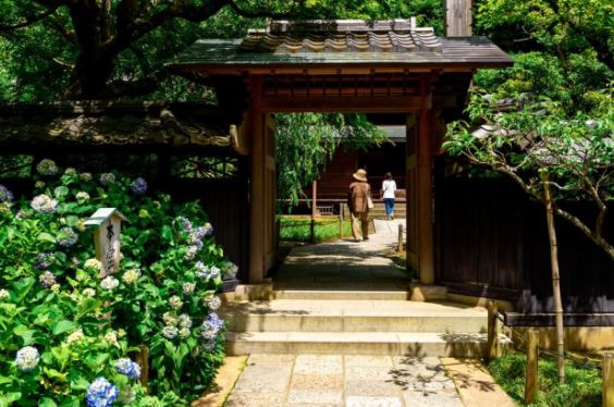 Ngôi chùa của những phụ nữ bỏ chồng