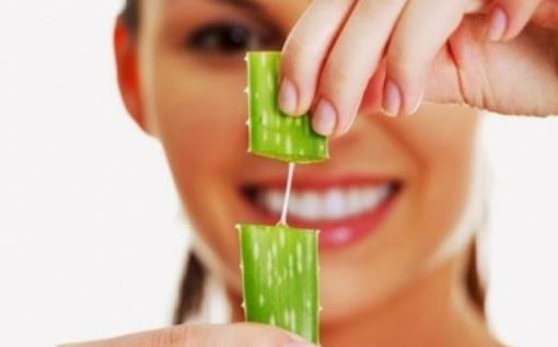 Tự làm son dưỡng môi tại nhà với nha đam