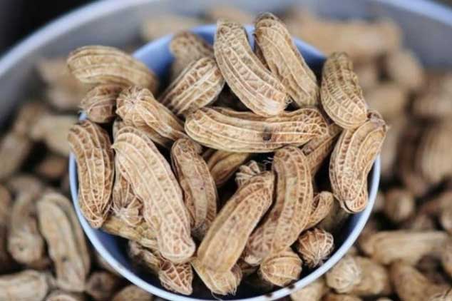 Ăn 1 hạt lạc theo cách này vào mùa đông sẽ chống được bệnh ung thư vú và tim mạch cực tốt