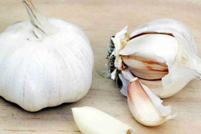 Tỏi là gia vị trên cả tuyệt vời, nhưng rất kỵ khi kết hợp với 5 thực phẩm này