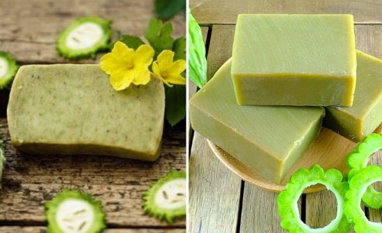 Công thức làm xà phòng khổ qua trị mụn
