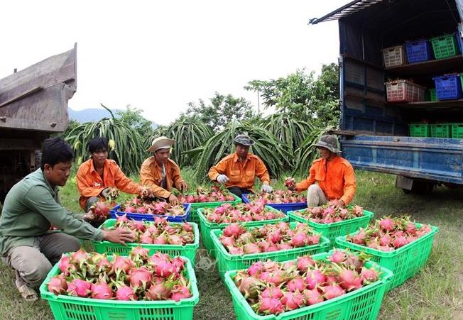 Để xuất khẩu bắt nhịp xu thế mới