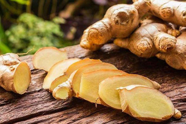 Gừng rất dễ bị thối, teo, mọc mầm ngâm ngay vào thứ nước rẻ tiền này, để cả năm vẫn tươi như lúc mới