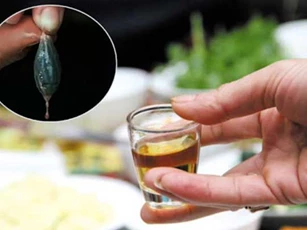 5 bộ phận của cá không nên ăn nhiều kẻo hối không kịp