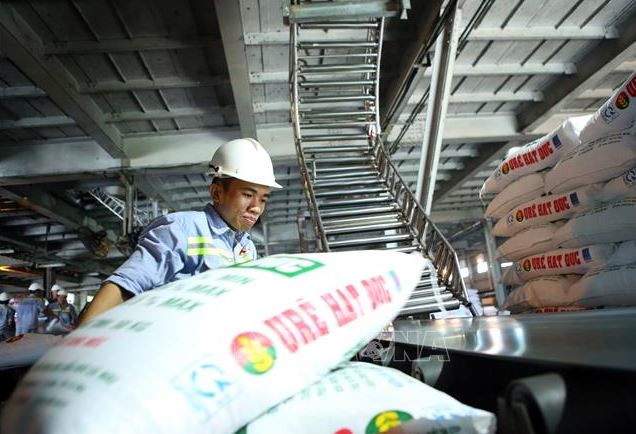 Dấu hiệu 'đi lùi' của doanh nghiệp phân bón sau năm 'thăng hoa'