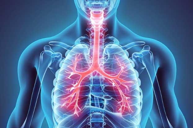 Làm điều này ung thư phổi tránh xa, cả đời sống khỏe thọ lâu lại ít ốm bệnh