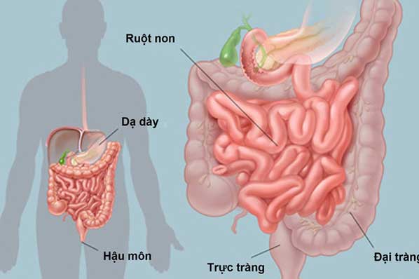 Mỗi ngày cơ thể đều tích lũy vô vàn độc tố, hãy thải bỏ chúng theo cách đơn giản này