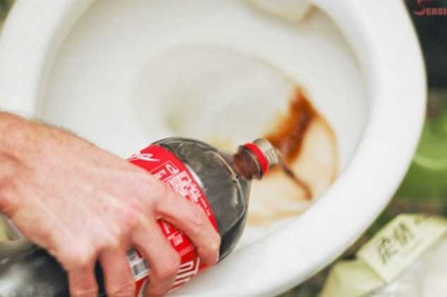 Đổ coca vào bồn cầu, tưởng phí của nhưng kết quả làm cả nhà ngạc nhiên