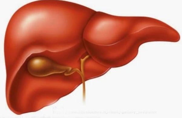 Những thứ phá hủy gan chẳng kém rượu bia