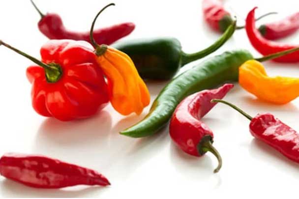 Khoa học đã chứng minh rằng ăn ớt đều đặn giúp sống lâu cả đời ít bệnh tật ngừa ung thư hiệu quả
