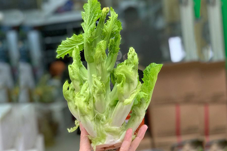 Hướng dẫn làm 2 món ngon từ rau mầm đá