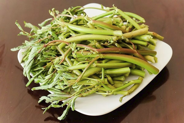Mách bạn các món ngon đặc biệt với rau rút