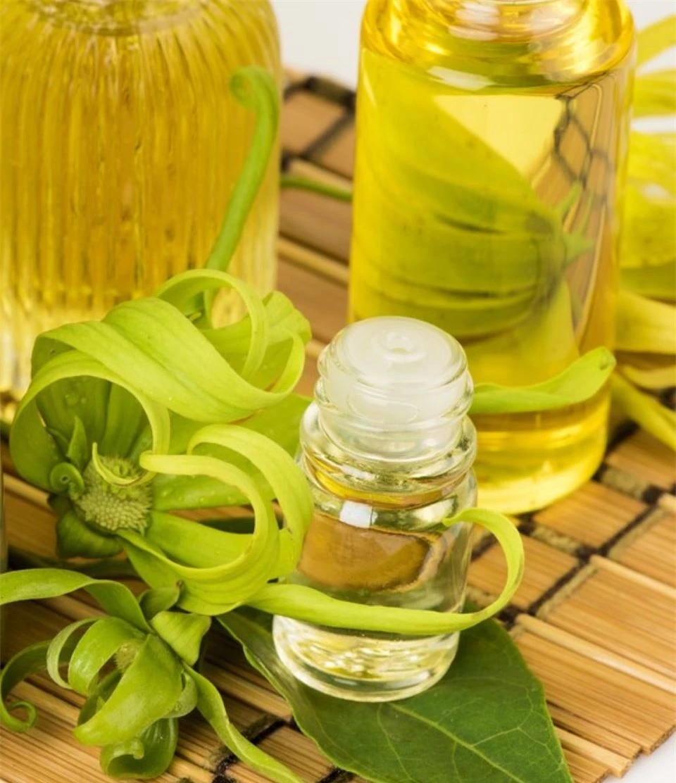 8 loại tinh dầu giúp giảm đau khớp và đầu gối hiệu quả