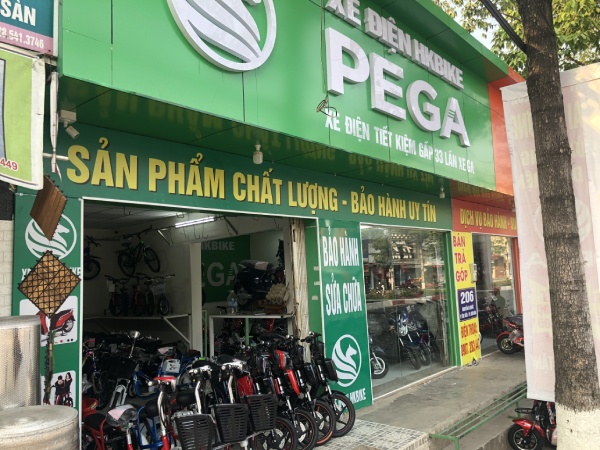 Bảo hiểm Xã hội Hà Nội chỉ ra hàng loạt sai sót, tồn đọng của Pega LTT.