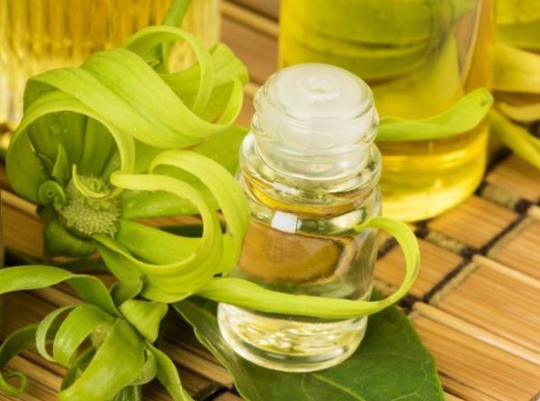 8 loại tinh dầu giúp giảm đau khớp và đầu gối hiệu quả