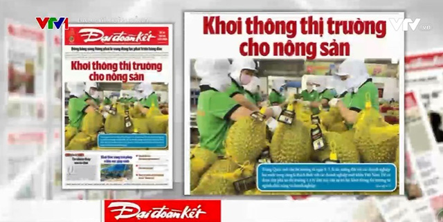 Xuất khẩu nông sản: Xây dựng thương hiệu thay vì đi "buôn chuyến"