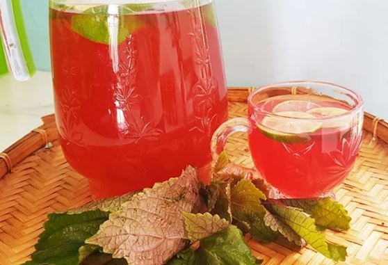 Nước lá tía tô giúp đẹp da, bảo vệ tim mạch nhưng có 2 nhóm người không nên uống