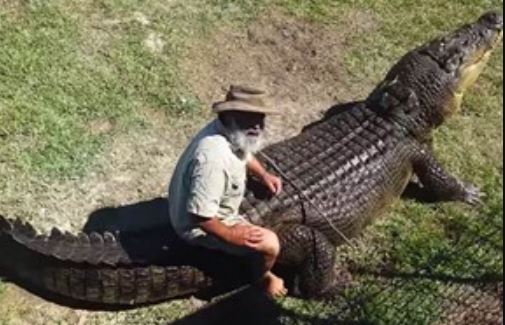 Clip: “Phát hoảng” với cảnh cưỡi cá sấu khồng lồ như cưỡi ngựa