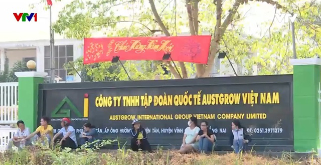 Sẽ xử lý nghiêm doanh nghiệp trốn, chậm, nợ đóng bảo hiểm xã hội