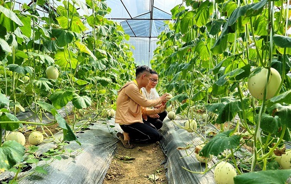 Người dân chưa quen ứng dụng công nghệ, chuyển đổi số nông nghiệp gặp khó