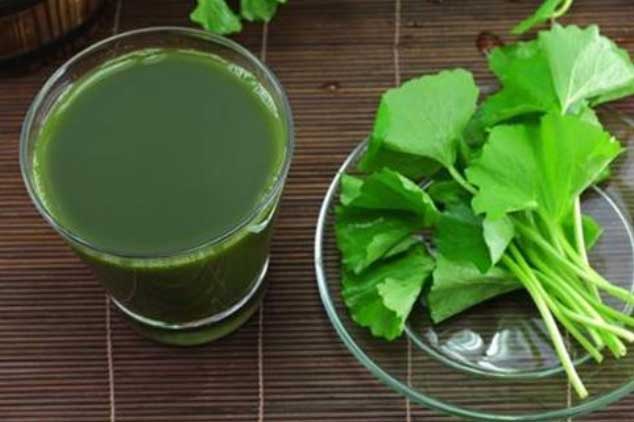 Uống nước rau má giải nhiệt, nhiều người mắc sai lầm mà không biết và lời cảnh báo của bác sĩ