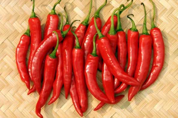 Ăn loại quả này "chặn" tế bào ung thư, chữa nhiều bệnh cực tốt, ai cũng cần đến