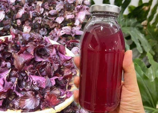 Loại lá có tác dụng trị nám da, giảm nổi mề đay, nhưng 3 nhóm người này không nên sử dụng