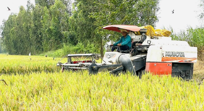 "Cánh đồng thông minh": Nông dân đi thăm ruộng bằng ô tô 