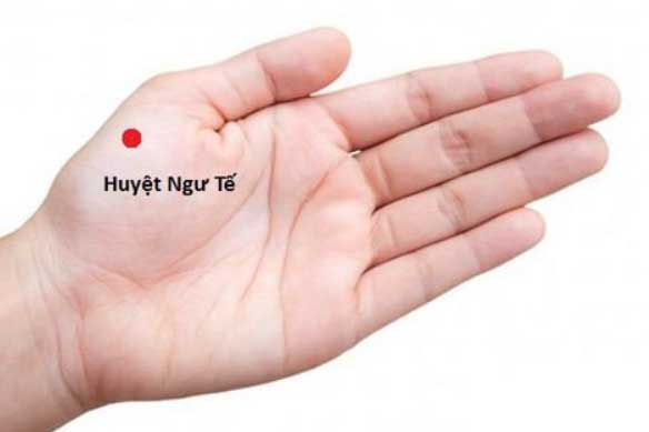 2 cách đơn giản của Đông y để chăm sóc phổi hiệu quả, giúp phổi sạch bong, thải hết độc cơ thể