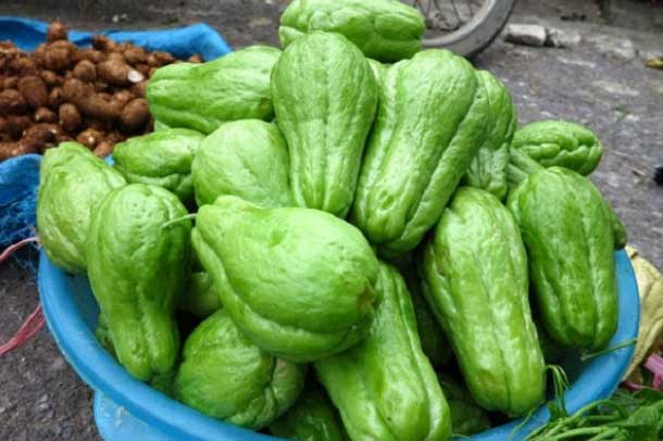 Trái su su có chất chống ung thư, trị viêm loét dạ dày hiệu quả vô cùng bất ngờ