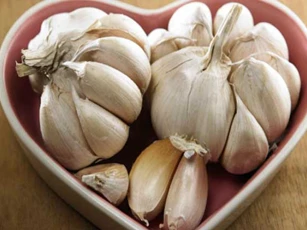 5 thực phẩm giải độc và làm sạch phổi, giúp phòng tránh ung thư vô cùng hiệu quả