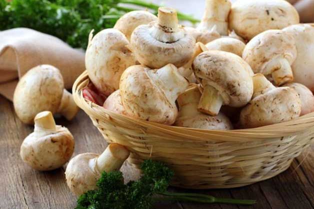 Đây chính là 'thần dược' ngăn ngừa tiểu đường, ung thư vú nhưng ít người biết đến